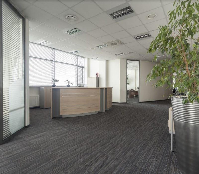 Multi-Purpose Adhesives